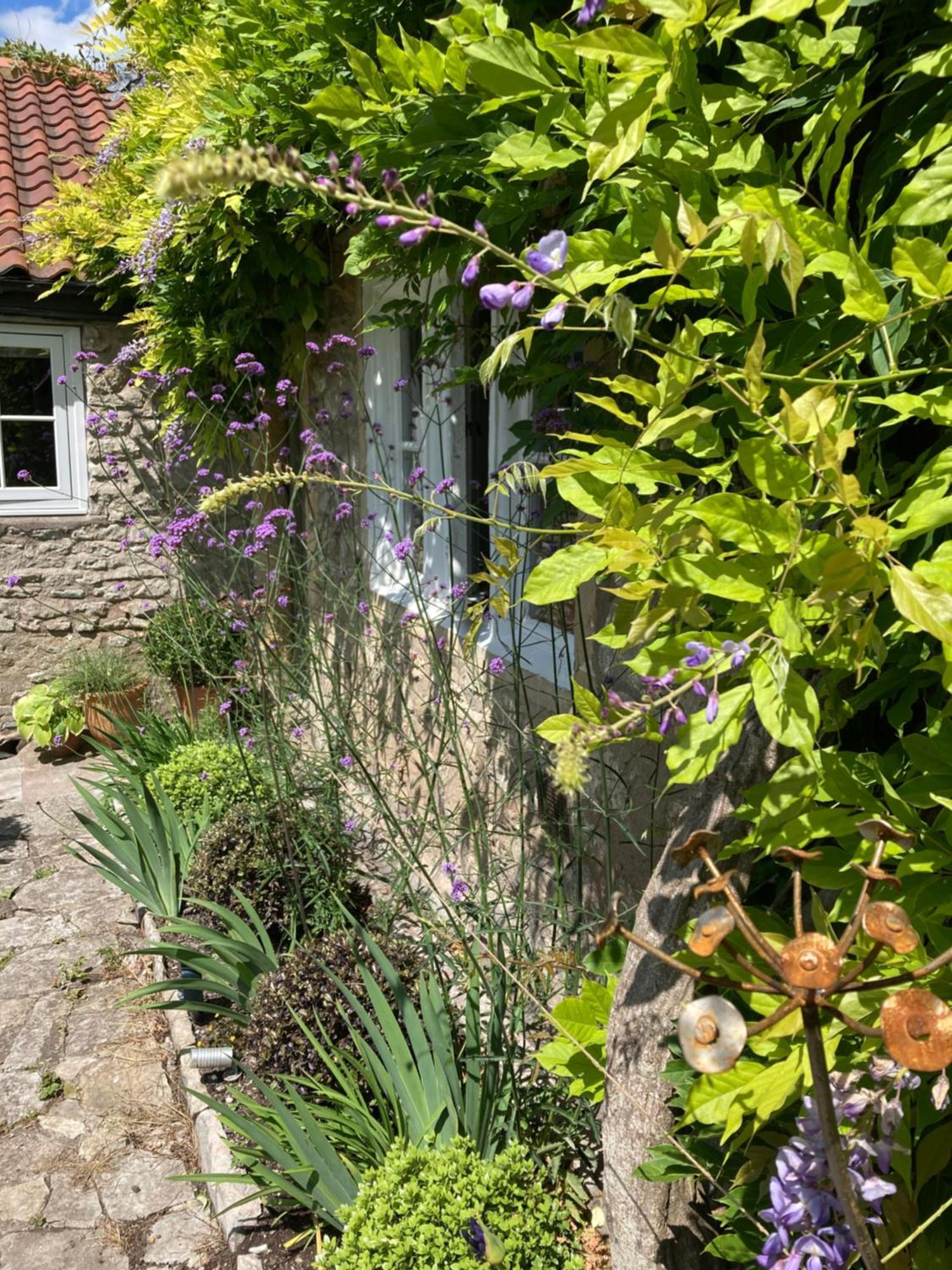 Maplestone Acomodação com café da manhã Shepton Mallet Exterior foto